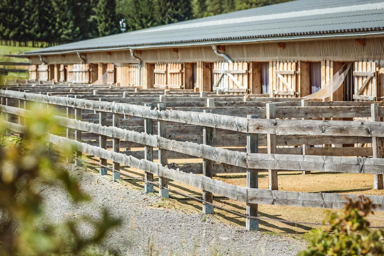 Ranchhouse Smoker- Westernstable - Horse Elterlein Exterior foto