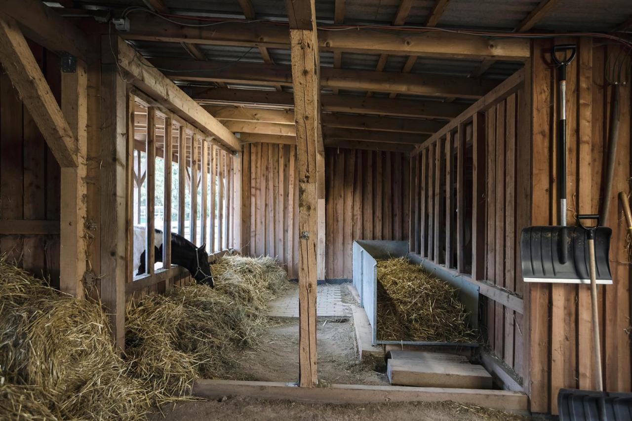 Ranchhouse Smoker- Westernstable - Horse Elterlein Exterior foto