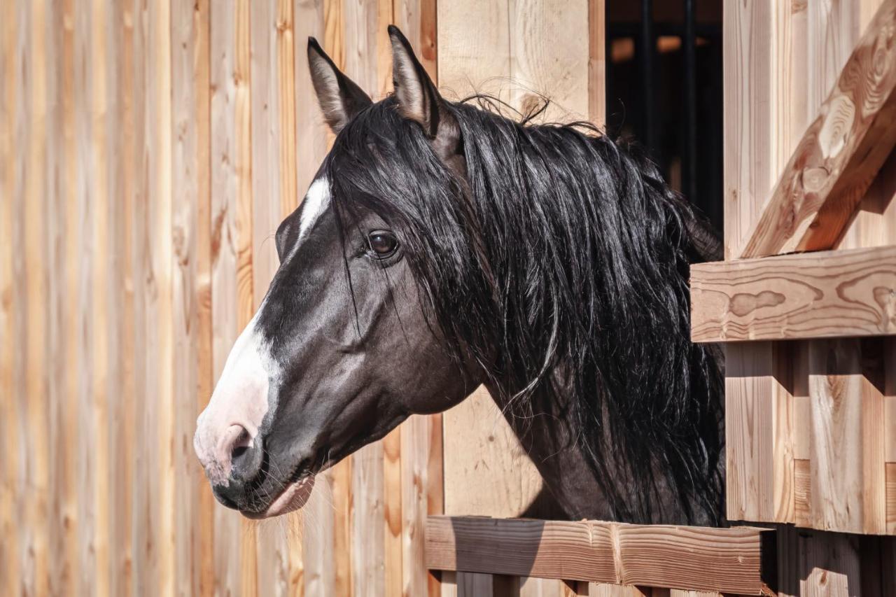 Ranchhouse Smoker- Westernstable - Horse Elterlein Exterior foto
